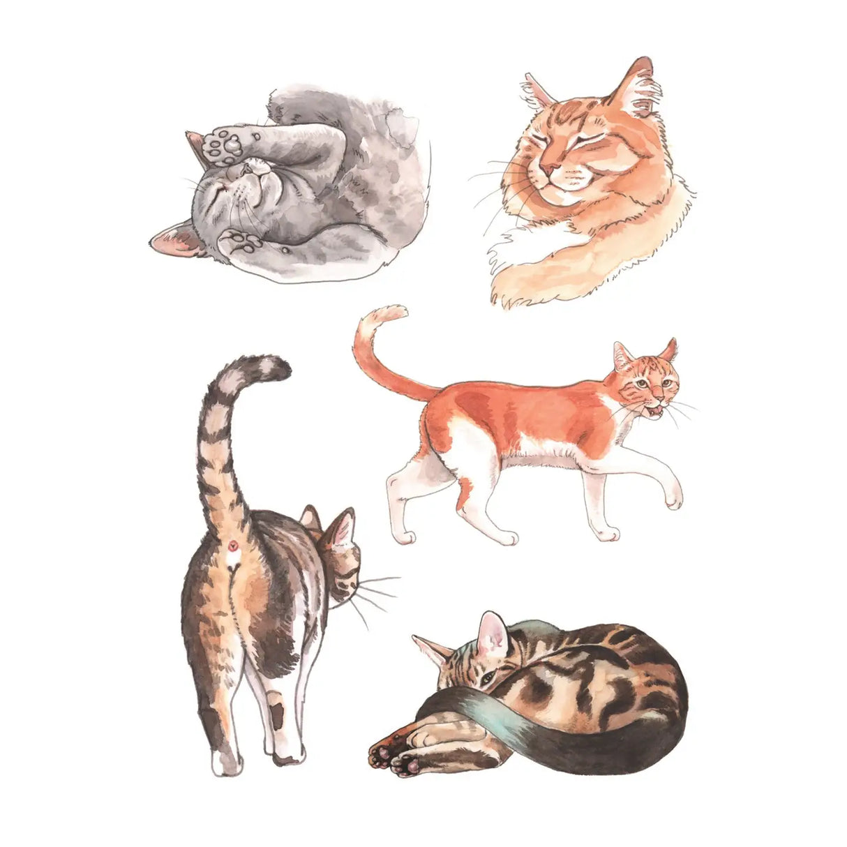 Cat's Meow Sticker Book