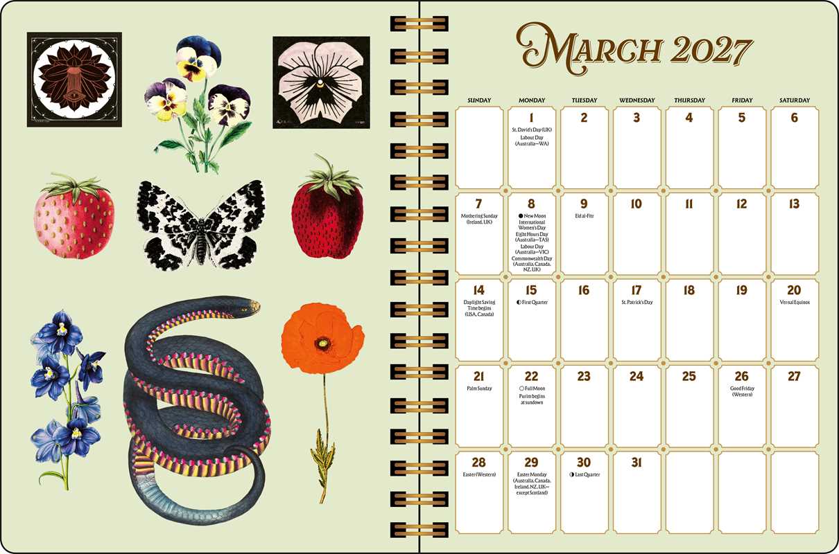Whether you love to junk journal or need to get your thoughts down on paper, you can add vintage-inspired beauty to every week with the spreads and stickers in The Antiquarian Sticker 2027 Planner.
Gorgeous, inspiring, and dreamily vintage, the spreads and stickers in The Antiquarian Sticker 2027 Monthly/Weekly Planner bring a world of enchantment to your daily life. Nurture your creativity and keep yourself organized with this treasure trove of vintage-inspired aesthetics.
Features include:
- Dimensions: