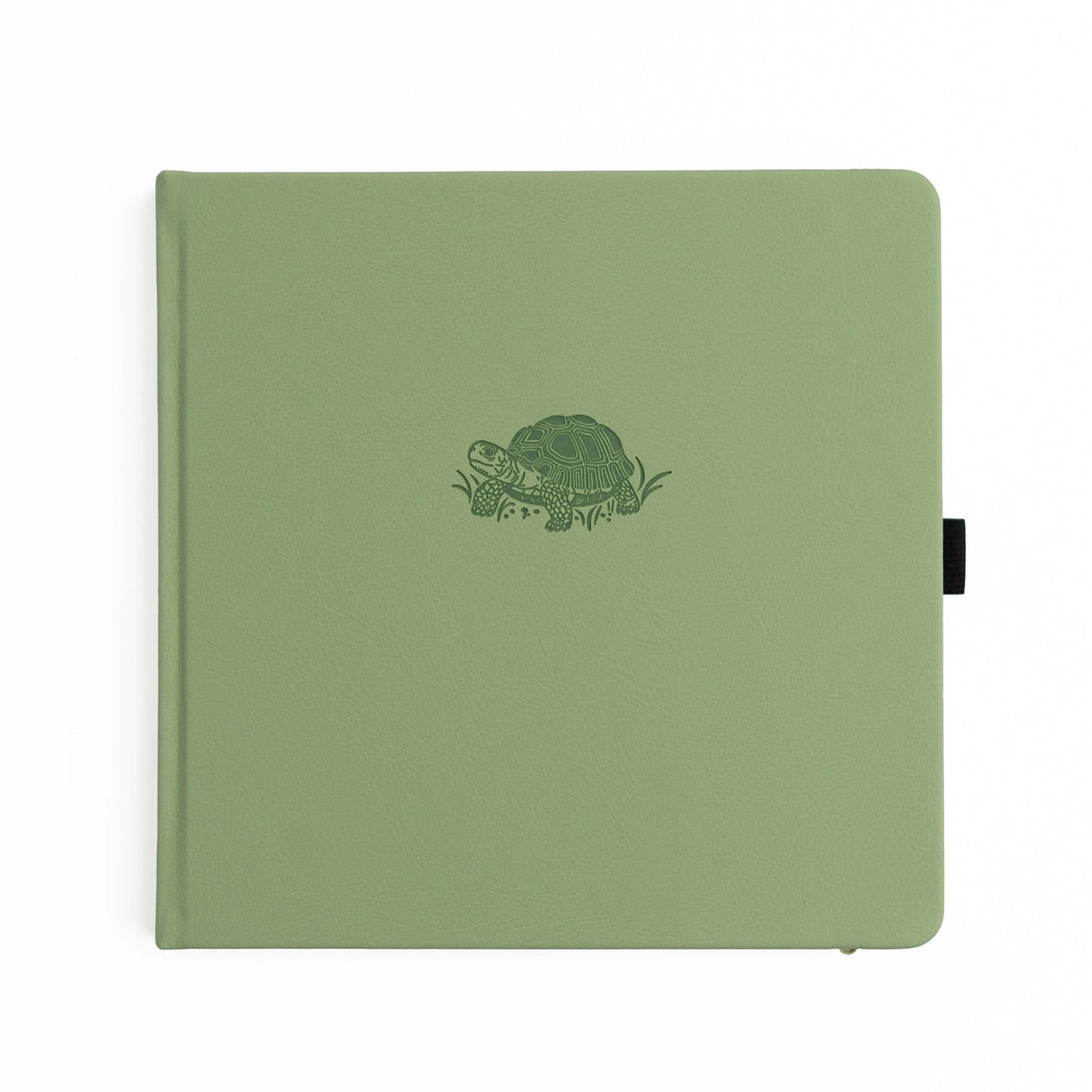 Archer and Olive Notebook Turtle Notebook 8x8