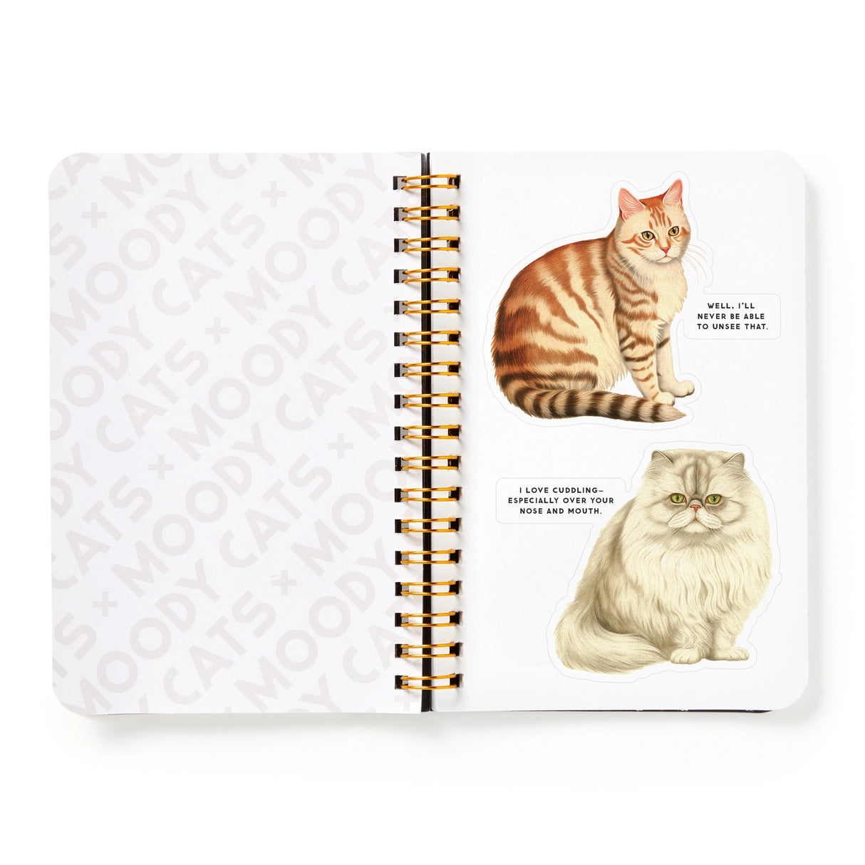 Brass Monkey Moody Cats Googly Sticker Book