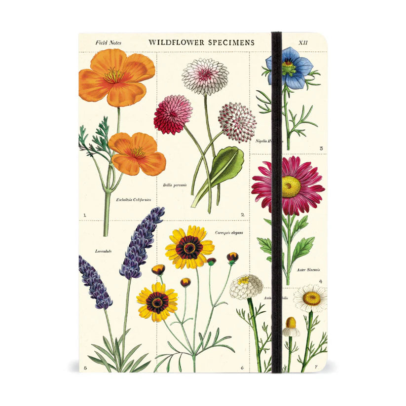 Cavallini & Co. Large Notebook - Wildflowers