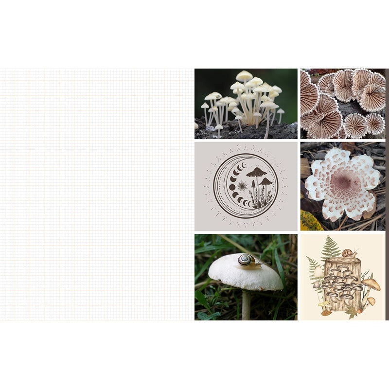 Featuring more than 400 photos and illustrations, Cut & Collage Mushrooms and Fungi invites you to cut out and piece together your own works of art inspired by the treasures found on the forest floor.
Let your creativity and imagination roam free as you create collages, scrapbooks, vision boards, and more by mixing and matching vibrant colors and textures. Stunning photographs and illustrations on high-quality glossy paper showcase the beauty and magic of the fungus kingdom, including macro photography
