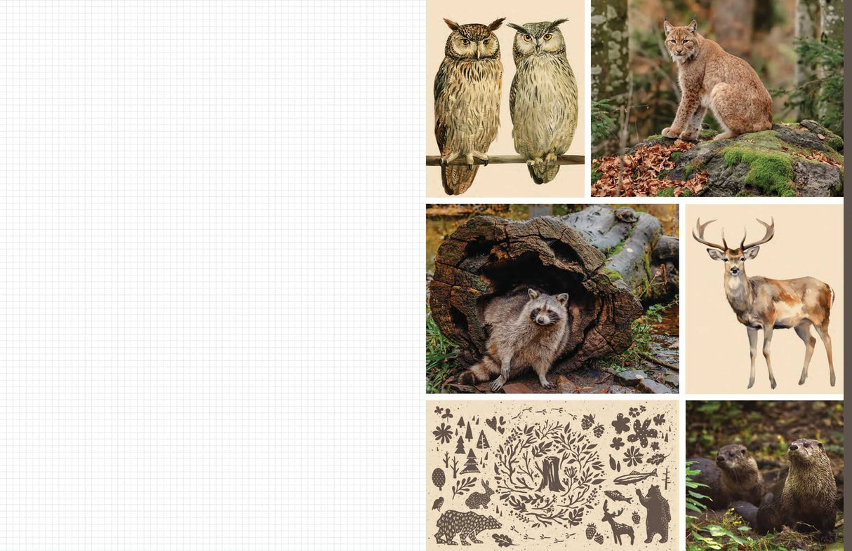 Celebrate the natural beauty of the forest and all the amazing creatures that call it home with vibrant, full-color images ready for you to add to collages, vision boards, scrapbooks, greeting cards, and more. From photographs of wide-eyed owls and bushy-tailed squirrels to botanical illustrations and inspirational quotes, Cut & Collage Woodland Creatures captures the biodiversity and magic of the forest, adding endless possibilities to all of your crafting projects. The only limit is your imagination.