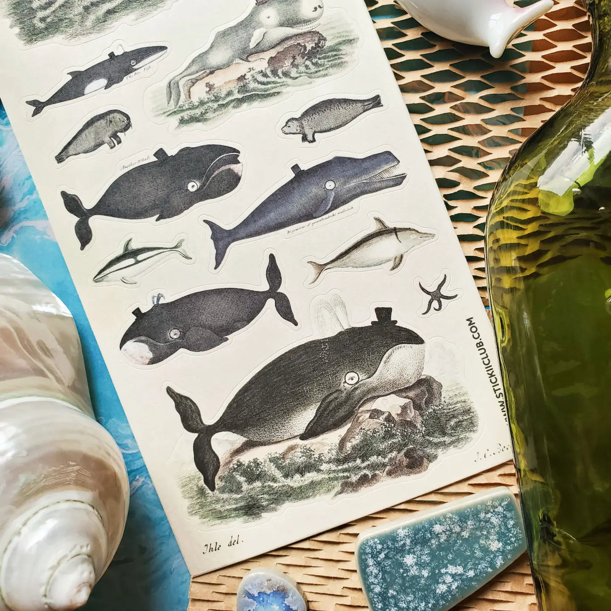 🎩🐳 Very distinguished, very deep, very delightful! This charming sheet is filled with dapper whales and curious sea creatures dressed for their grand ocean debut. With tiny top hats, monocles, and a wonderfully whimsical old-world feel, these gentle giants will bring plenty of seaside sophistication to your creations.
Top Coating: None
Adhesive Layer: Paper
Backing Layer: Paper
6.69"x3.54"
Weight: 0.03oz
1 Sheet Included