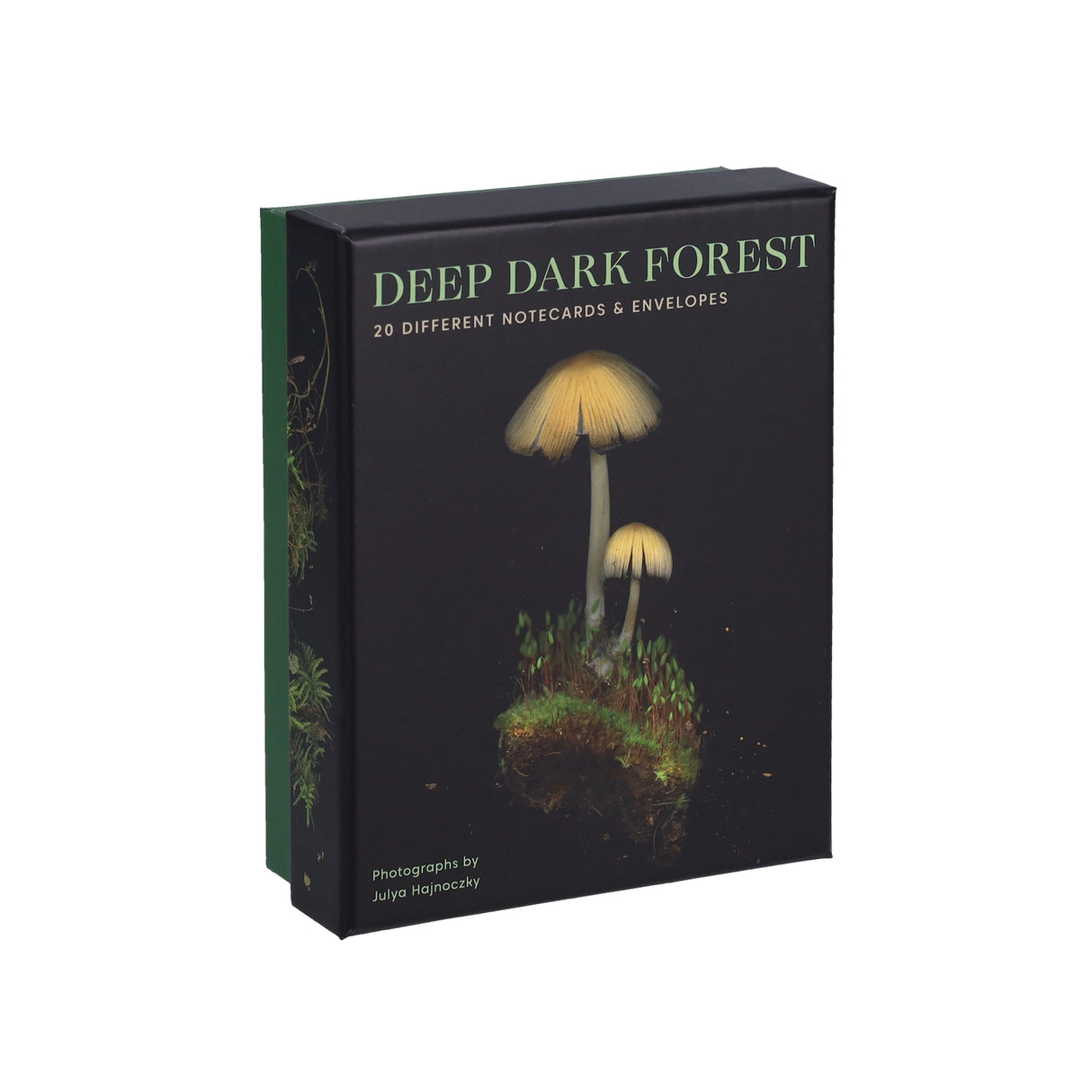 These luminous notecards capture the beauty of the forest floor, from ferns to fungi.
Share the wonders of the woods with fellow nature lovers. Julya Hajnoczky's photographs celebrate the oft-overlooked world of mushrooms, mosses, ferns, and other foraged treasures. Carefully arranged against striking black backgrounds, these portraits of biodiversity lend a fresh and sophisticated touch to your handwritten messages.