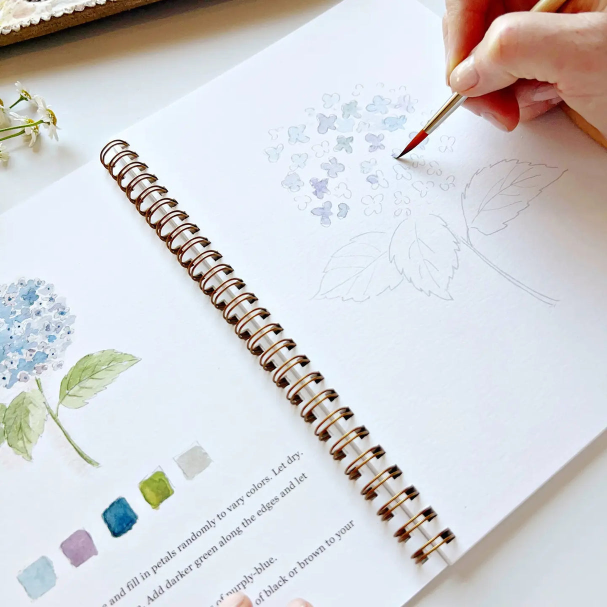 Emily Lex Studio - Flower Watercolor Workbook