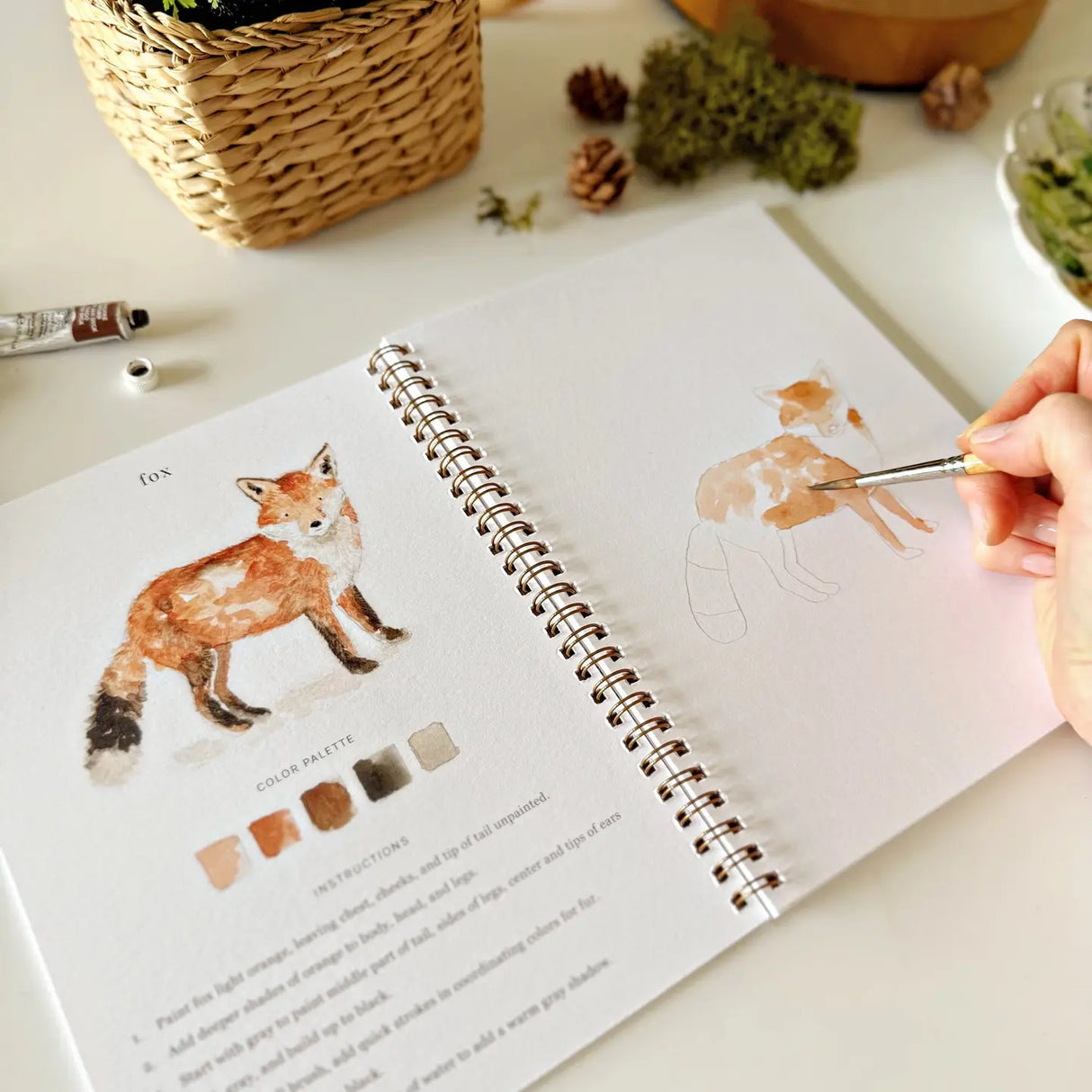 Emily Lex Studio - Woodland Watercolor Workbook