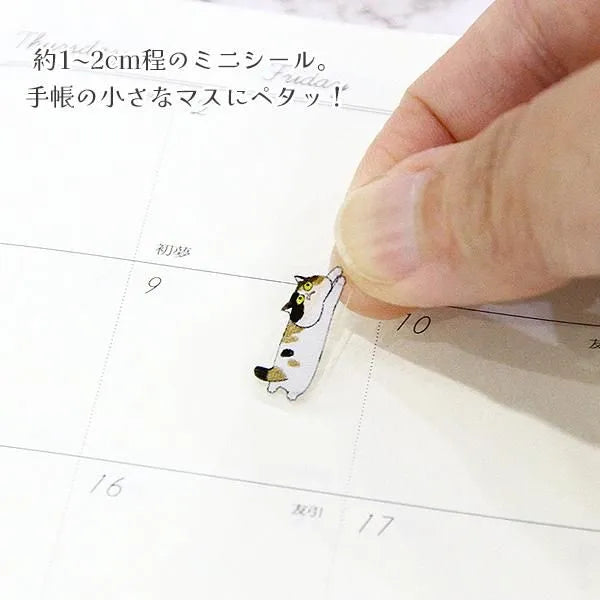Exotic Shorthair Sticker Sheet
This is a small size transparent material sticker that is easy to decorate in planners or journals. It contains two identical illustrations, so you can use it for preservation, matching, or sharing.
Sheet size: Length 150× Width 90mm
Includes 1 sticker sheet