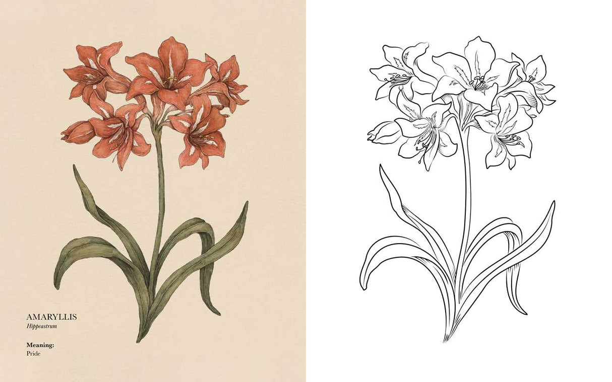 Floriography Coloring Book By Jessica Roux