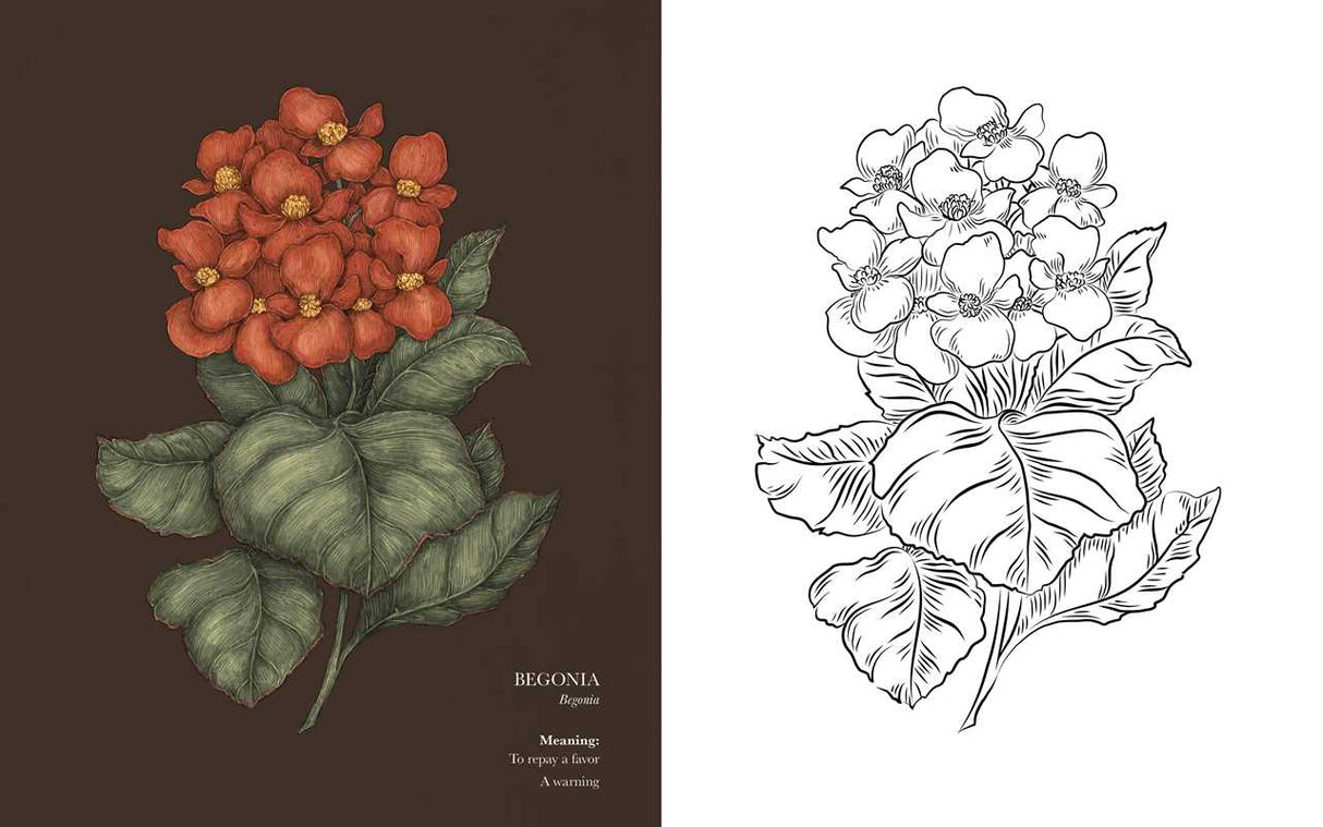 Floriography Coloring Book By Jessica Roux