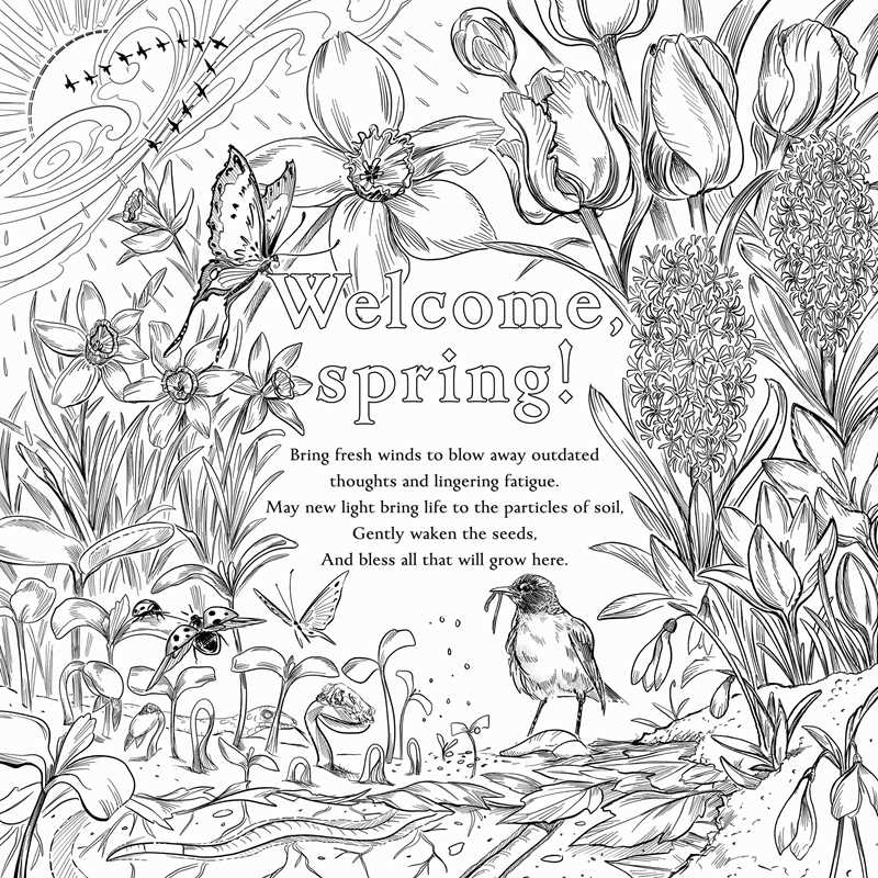The magic of The Green Witch meets adult coloring with this collection of 35 witchcraft-inspired scenes showcasing the natural elements and mysticism of green witchcraft.
Nurture your creative energy and the green witch within with The Green Witch’s Coloring Book featuring 35 witchcraft-inspired scenes that nourish and nurture green witchcraft lovers. From the Green Witch series, this coloring book includes lush forest scenes to crystal spreads and herb bundles.
