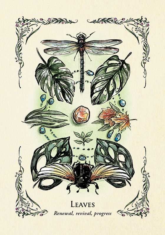 The power of The Green Witch meets the magic of oracle cards with these 50 green witchcraft-inspired oracle cards to guide you with the wisdom and insight from natural magic.
Embrace the power of the Green Witch with these 50 magical cards enhanced with wisdom green witchcraft. From the author of The Green Witch Arin Murphy-Hiscock, comes insight inspired by the grounding energy of a green witch, calling on the earth, the elements, and all the plants and flowers that green witches use in their practice.
F