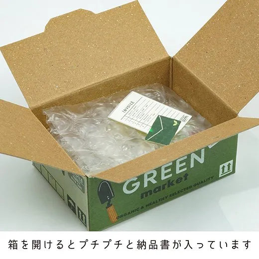 Greeting Life Hako Flake Stickers Green