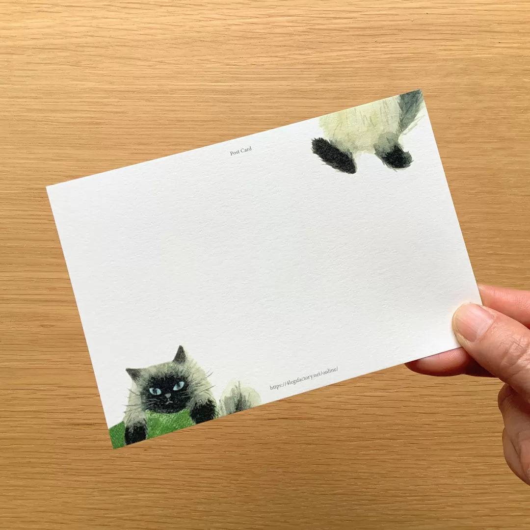 4legs Postcard - Us and Cats 1