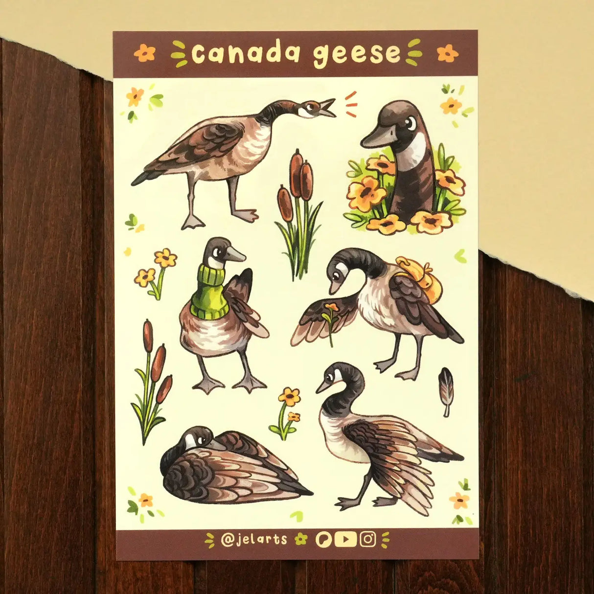 A bunch of silly & sassy Canada geese on a sticker sheet! Great for journals, scrapbooks, and decorating laptops.
Glossy vinyl sticker sheet, 4.6" x 6.7"
11 stickers - 6 larger geese stickers &; 5 smaller stickers (cattails, flowers, feather)
Packaged in a clear plastic sleeve
