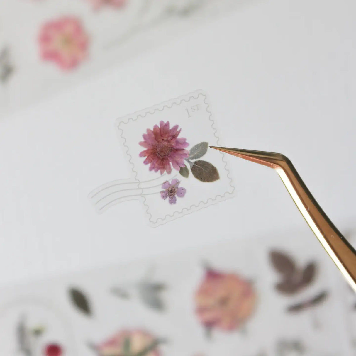 This pressed flower PET tape is designed for journalers, botanical enthusiasts, and stationery lovers drawn to the delicate beauty of real pressed florals. Featuring scanned camellias, delphiniums, blue cardinals, and plum blossoms, each flower is pre-cut and ready to peel.
Extra wide at 50mm with a shiny finish that layers beautifully over any journal page, envelope, or scrapbook layout.
Size: 50mm x 10m