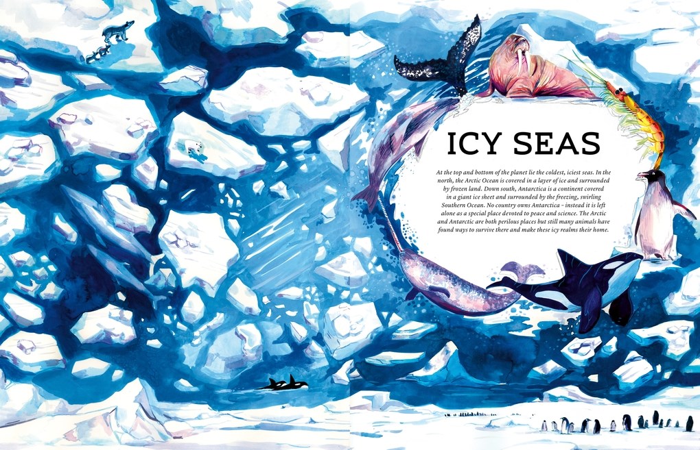 Oceanopedia: An Encyclopedia of Marine Creatures
Discover an incredible world hidden beneath the waves with this beautiful encyclopedia of our oceans and the animals that live in and around them.