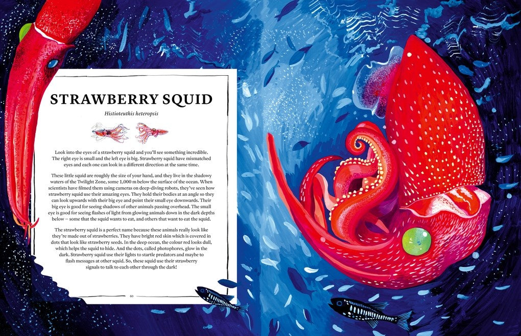 Oceanopedia: An Encyclopedia of Marine Creatures
Discover an incredible world hidden beneath the waves with this beautiful encyclopedia of our oceans and the animals that live in and around them.