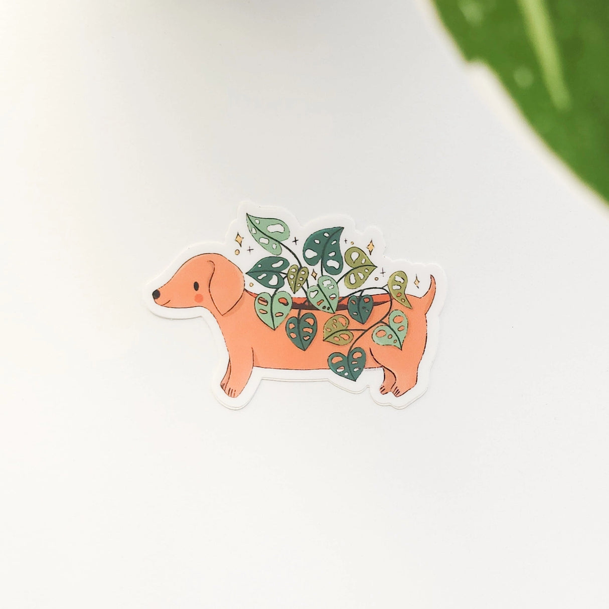 A charming dachshund planter rests among leafy greenery, a thriving cheese plant growing from its back like a small piece of playful décor. This vinyl sticker captures that cozy, plant-filled still life, adding a touch of warmth and whimsy to your everyday essentials.
Made from durable, waterproof vinyl, this sticker is designed to hold up wherever you place it—whether that’s a water bottle, laptop, or journal you reach for daily.