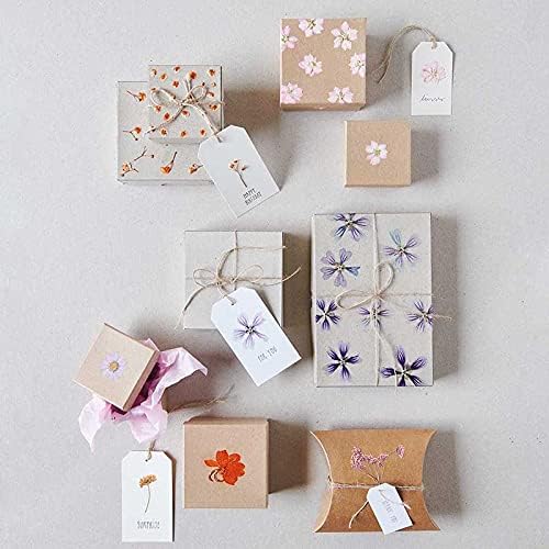 Conjunto de flores y plantas prensadas, mezcla de violetas blancas