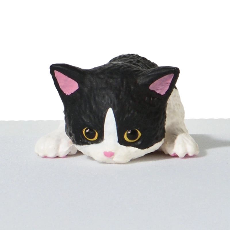 This is a sequel to the popular series "Futchiyasumi Nyanko". Cute kittens of various kinds are relaxing using "Futchi" today... The kittens' innocent poses are cute!
Lineup (6 Variants):
Black x White
Black
American Shorthair
Calico cat
Brown x White