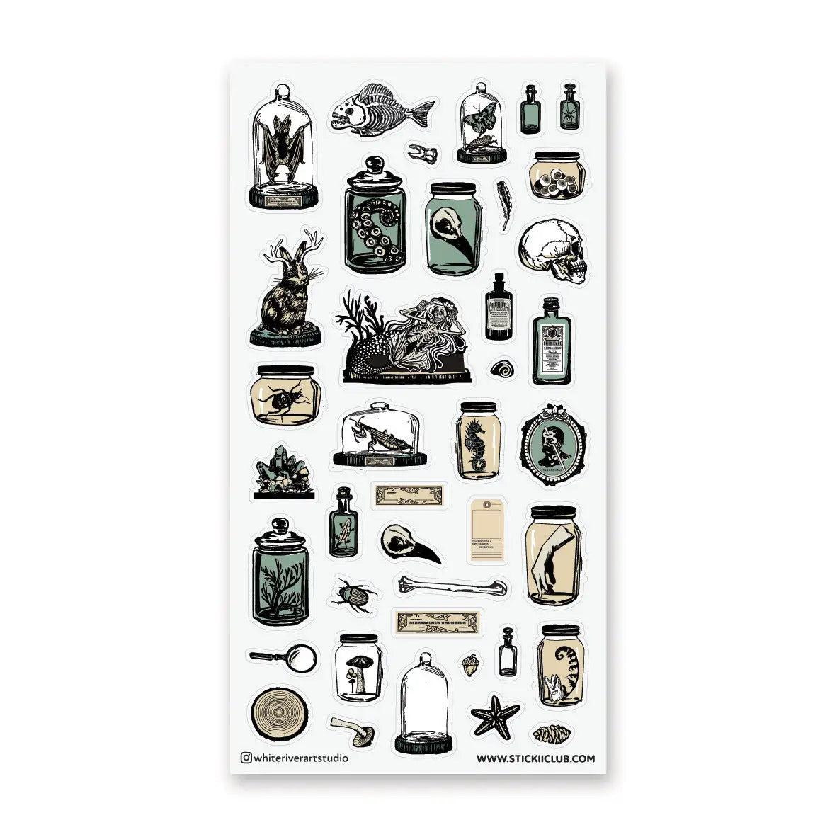 🦴 Step into a shadowy collector’s study with @whiteriverartstudio’s beautifully eerie sheet, filled with preserved specimens, glass jars, bones, skulls, sea creatures, botanicals, and curious little relics. With its antique museum feel and moody natural history details, this sheet is perfect for anyone drawn to the strange, the beautiful, and the wonderfully mysterious.
