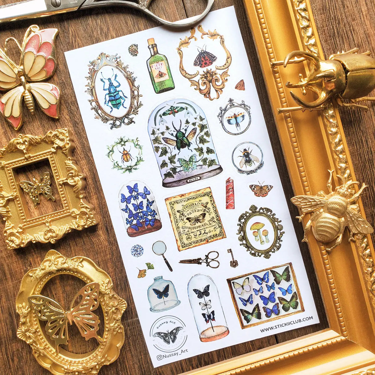 🦋🔍 Explore an enchanting cabinet of wonders with @nussay_art’s mesmerizing entomology collection. Jewel-toned beetles, delicate butterflies, and mysterious moths rest beneath glass domes and within ornate vintage frames, like tiny treasures on display to bring to life the magic of old naturalists and their treasured discoveries.
