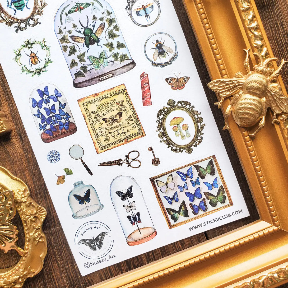 🦋🔍 Explore an enchanting cabinet of wonders with @nussay_art’s mesmerizing entomology collection. Jewel-toned beetles, delicate butterflies, and mysterious moths rest beneath glass domes and within ornate vintage frames, like tiny treasures on display to bring to life the magic of old naturalists and their treasured discoveries.
