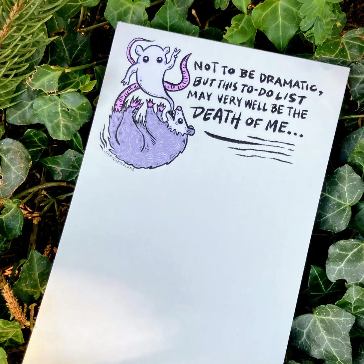 Shapeless Flame Notepad Dramatic Possum