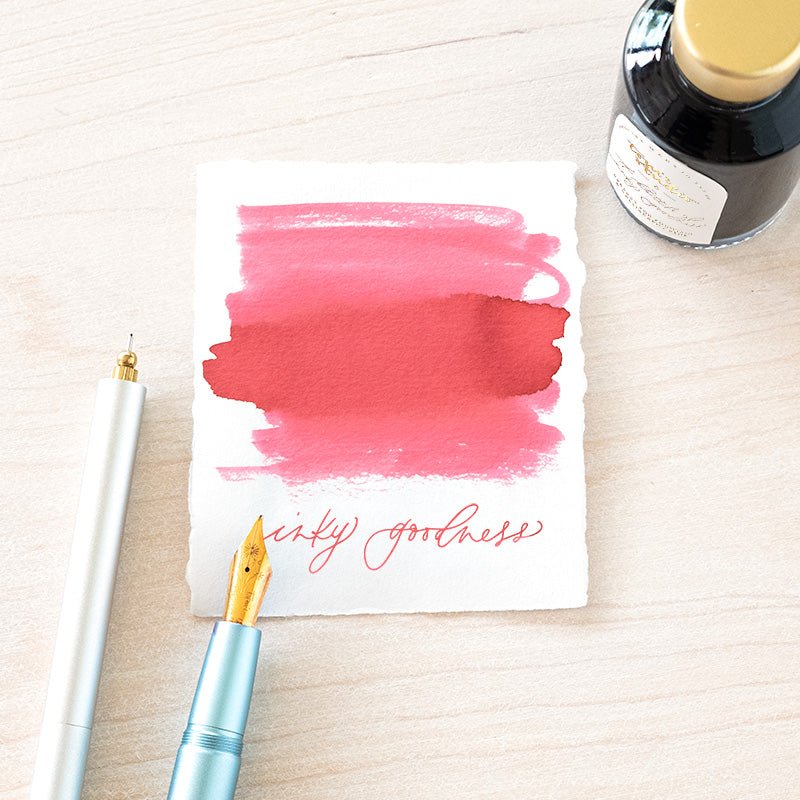 Tom's Studio - Fountain Pen Ink - Rambling Rose