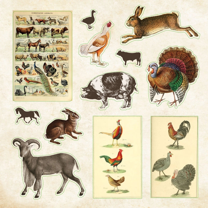 Zoological Ephemera Sticker Book (680+ stickers)