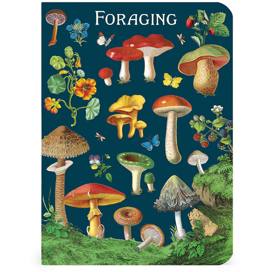 Cavallini & Co. 3 Mini Notebooks - Foraging