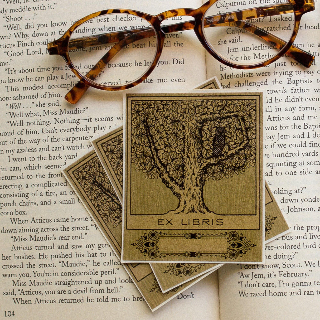 Owl in Tree Bookplate Sticker