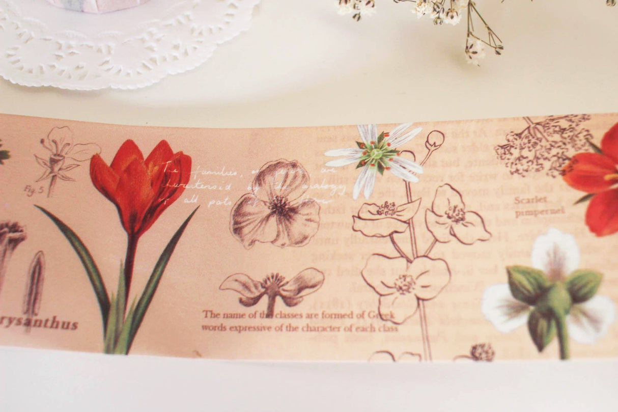 An Illustrated Guide Washi Tape