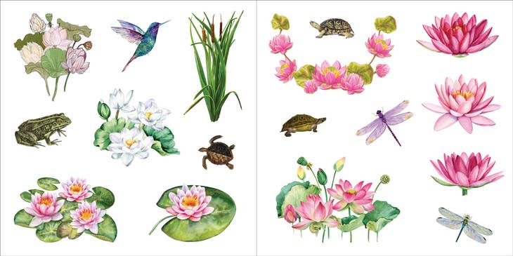 Libro de pegatinas Bunches of Botanicals (500 pegatinas)