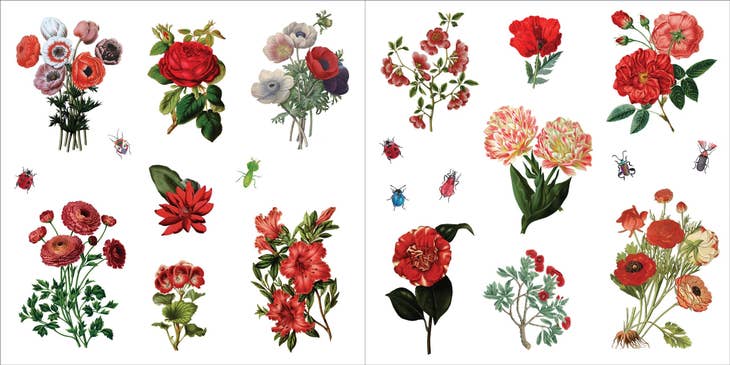 Libro de pegatinas Bunches of Botanicals (500 pegatinas)