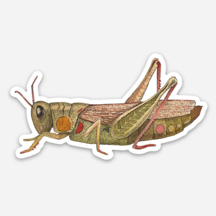 Pegatina de saltamontes