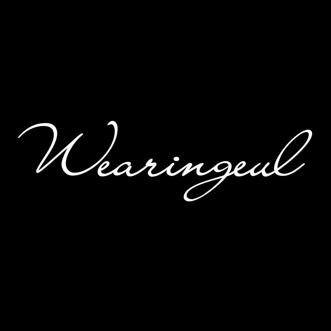 Wearingeul fountain pen inks inspired by literature, poetry, and mythology, displayed in assorted 30ml bottles.