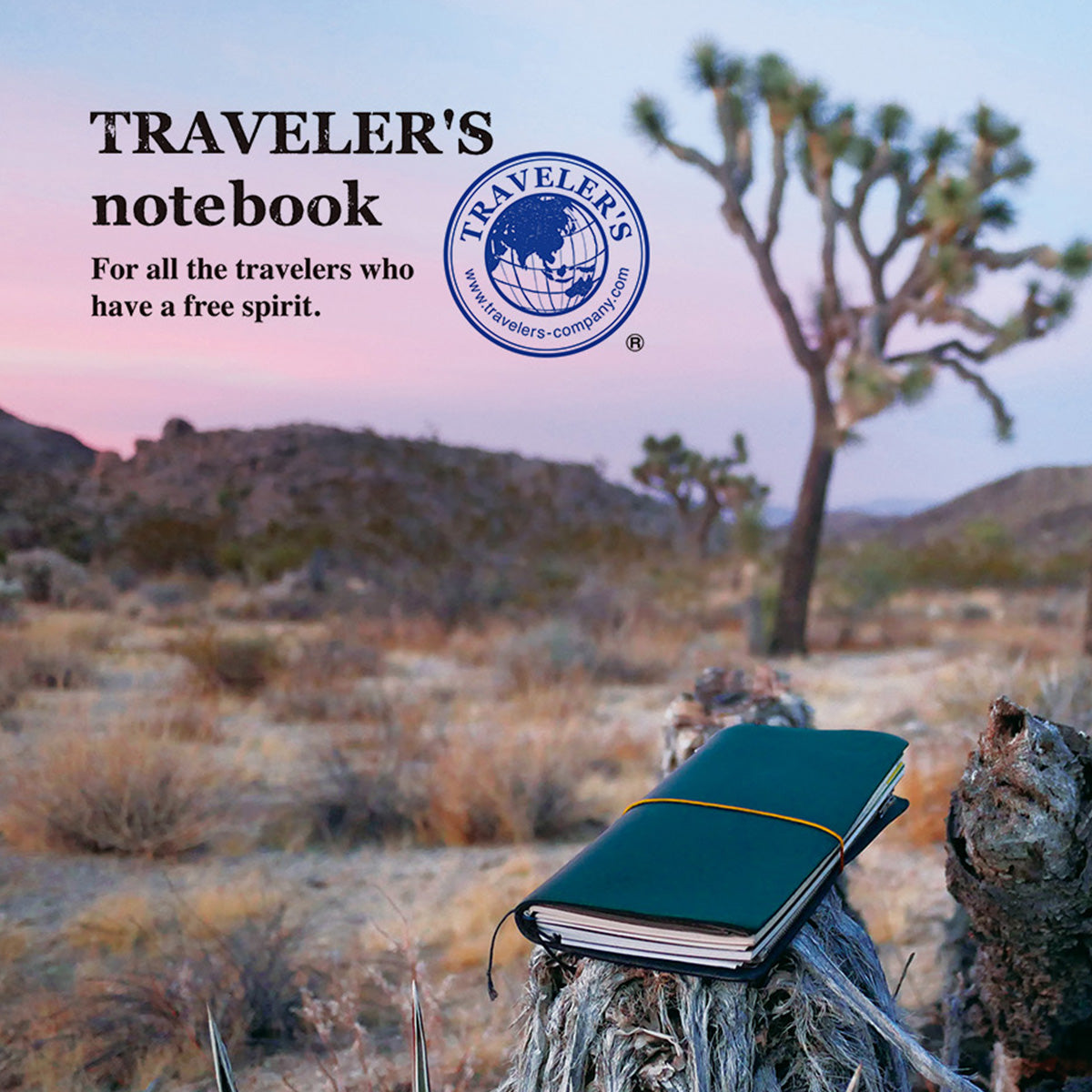 TRAVELER’S COMPANY collection featuring leather notebooks, refills, and brass accessories.