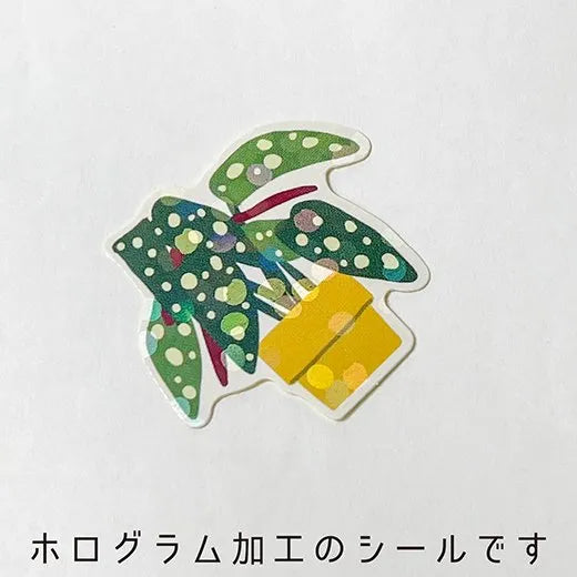 Hako Flake Stickers - Green
