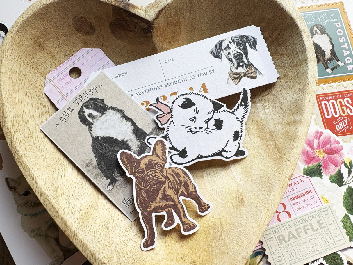 Fancy Pants Designs Scrapbooking Kit - Spot & Oliver