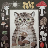4legs Postcard - Cat in Picture Book #22 Exotic Shorthair
