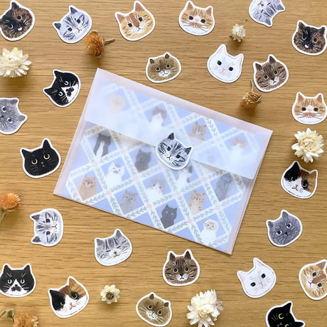4legs Flake Stickers - Cat Face

We drew the faces of 12 different cats, each with its own unique personality, and turned them into flake stickers. Each comes in two sheets, so please use one, keep one for collection, or maybe give it to someone. Please enjoy.

It comes with a postcard-sized cat illustration paper as a bonus.

24 flake stickers (12 types, 2 sheets each)
1 bonus illustration paper