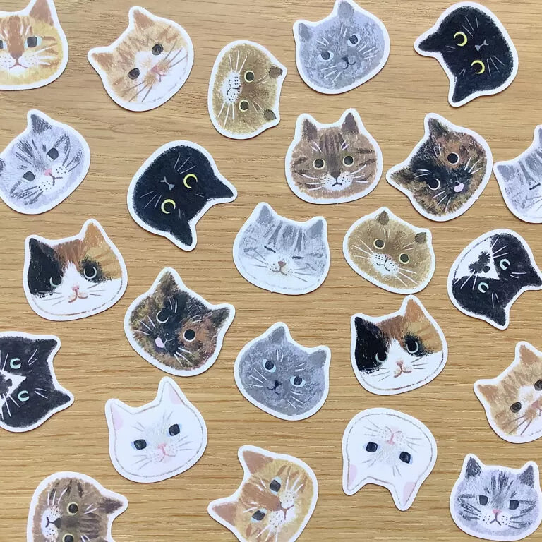 4legs Flake Stickers - Cat Face

We drew the faces of 12 different cats, each with its own unique personality, and turned them into flake stickers. Each comes in two sheets, so please use one, keep one for collection, or maybe give it to someone. Please enjoy.

It comes with a postcard-sized cat illustration paper as a bonus.

24 flake stickers (12 types, 2 sheets each)
1 bonus illustration paper