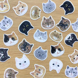 4legs Flake Stickers - Cat Face

We drew the faces of 12 different cats, each with its own unique personality, and turned them into flake stickers. Each comes in two sheets, so please use one, keep one for collection, or maybe give it to someone. Please enjoy.

It comes with a postcard-sized cat illustration paper as a bonus.

24 flake stickers (12 types, 2 sheets each)
1 bonus illustration paper