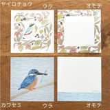 Featuring charming watercolor of wild birds and plants commonly found in Japan from Japanese illustrator 4legs

It is a convenient size that is not too big or too small.&nbsp;Please use it&nbsp;as a communication tool for small thank you and announcements.&nbsp;There are no lines on the front side, so&nbsp;you can use it freely as&nbsp;a shop card or business card&nbsp;with stamps and stickers&nbsp;as well as memos and letters.&nbsp;It is a great gift for people who like paper.&nbsp;The gorgeous and gentle 
