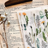 Some Sort of Fern Transfer Sticker - Dandelion