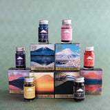 Teranishi Fujiyama Irodori Fountain Pen Ink - Rin Purple