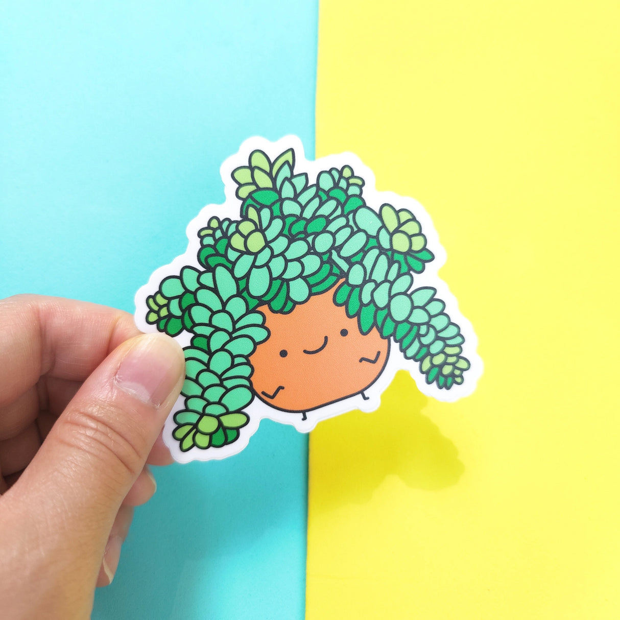 Burro's Tail Plant Vinyl Sticker
