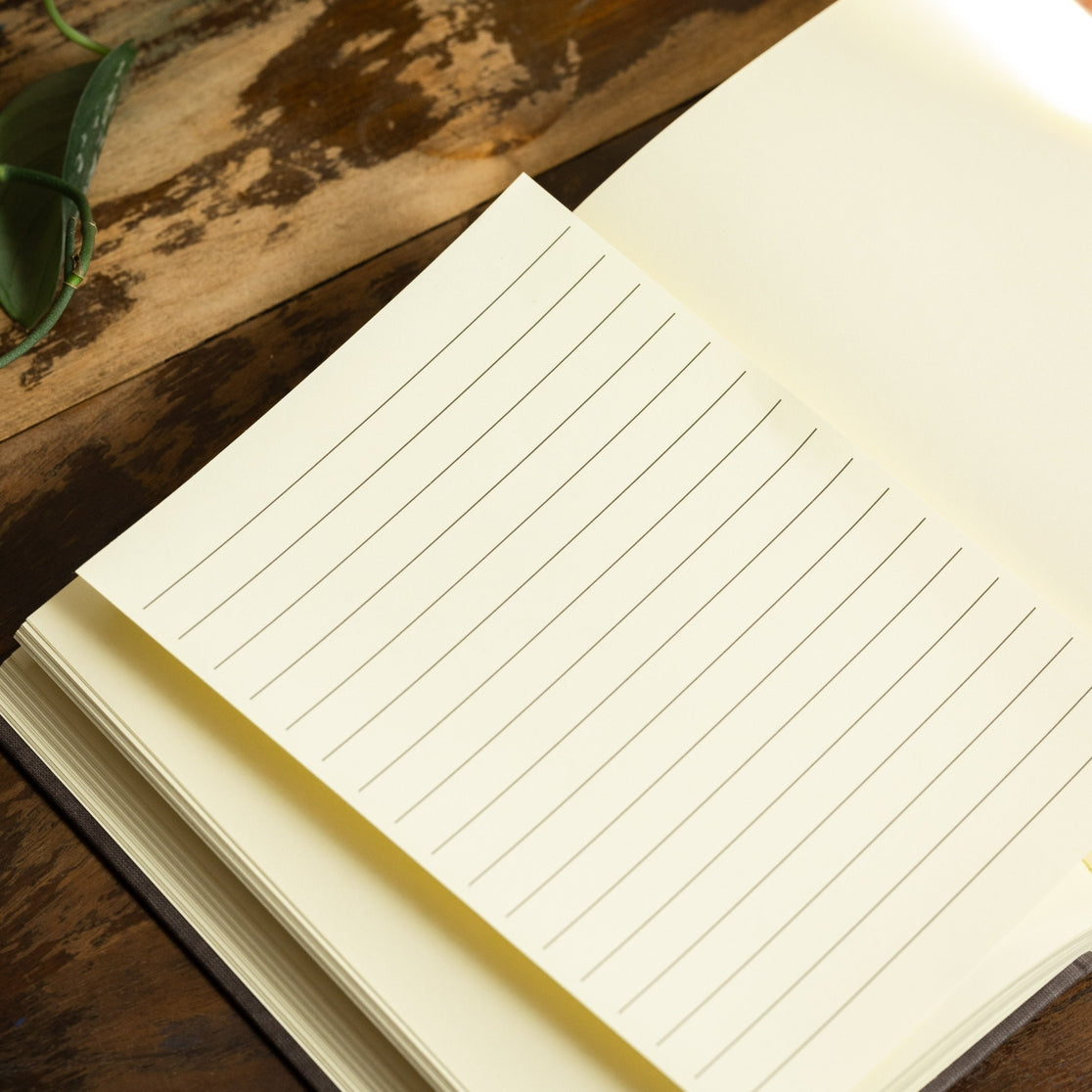 Diario de Burn Book